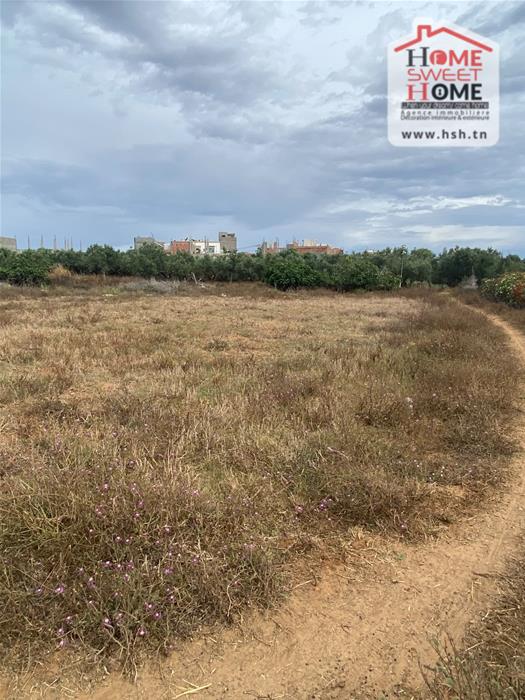 Kelibia&nbsp;Kelibia&nbsp;Terrain&nbsp;Terrain nu&nbsp;Terrain villa triana � k�libia