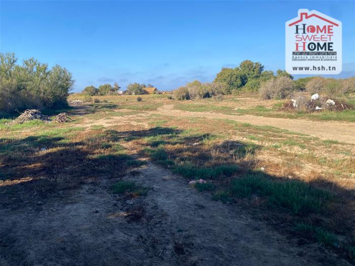 Hammam El Ghezaz&nbsp;Hammam El Ghezaz&nbsp;Terrain&nbsp;Terrain agricole&nbsp;Terrain agricole duovia � hammam ghez�ze