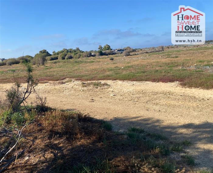 Hammam El Ghezaz&nbsp;Hammam El Ghezaz&nbsp;Terrain&nbsp;Terrain agricole&nbsp;Terrain agricole duovia � hammam ghez�ze