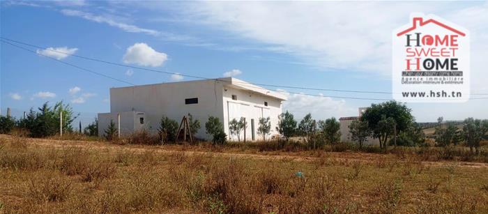 Borj El Amri&nbsp;Borj El Amri&nbsp;Terrain&nbsp;Terrain agricole&nbsp;Terrain agricole meridia � borj el amri