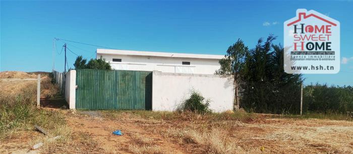 Borj El Amri&nbsp;Borj El Amri&nbsp;Terrain&nbsp;Terrain agricole&nbsp;Terrain agricole meridia � borj el amri