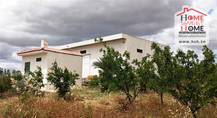 Borj El Amri&nbsp;Borj El Amri&nbsp;Terrain&nbsp;Terrain agricole&nbsp;Terrain agricole meridia � borj el amri