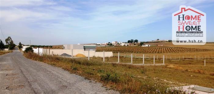 Borj El Amri&nbsp;Borj El Amri&nbsp;Terrain&nbsp;Terrain agricole&nbsp;Terrain agricole meridia � borj el amri