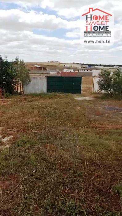 Borj El Amri&nbsp;Borj El Amri&nbsp;Terrain&nbsp;Terrain agricole&nbsp;Terrain agricole meridia � borj el amri