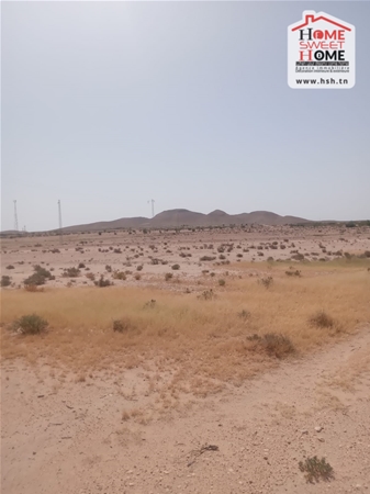Kasserine Nord&nbsp;Kasserine&nbsp;Terrain&nbsp;Terrain agricole&nbsp;Terrain agricole macarena � nadhour kasserine