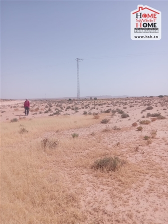 Kasserine Nord&nbsp;Kasserine&nbsp;Terrain&nbsp;Terrain agricole&nbsp;Terrain agricole macarena � nadhour kasserine