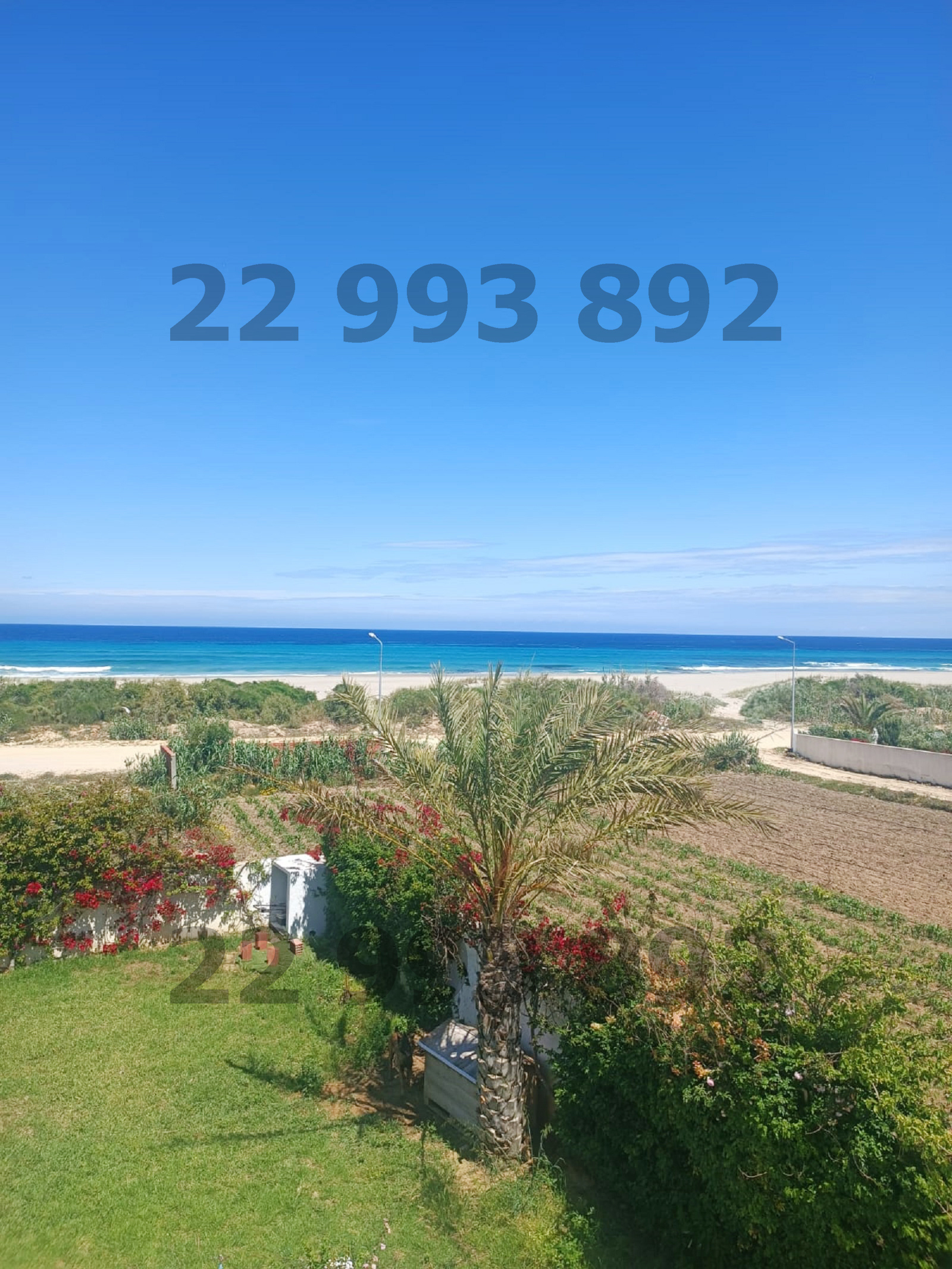 Kelibia&nbsp;Dar Allouche&nbsp;Location vacances&nbsp;Maisons&nbsp;Villa s6 � dar allouche k�libia  48 048 048
