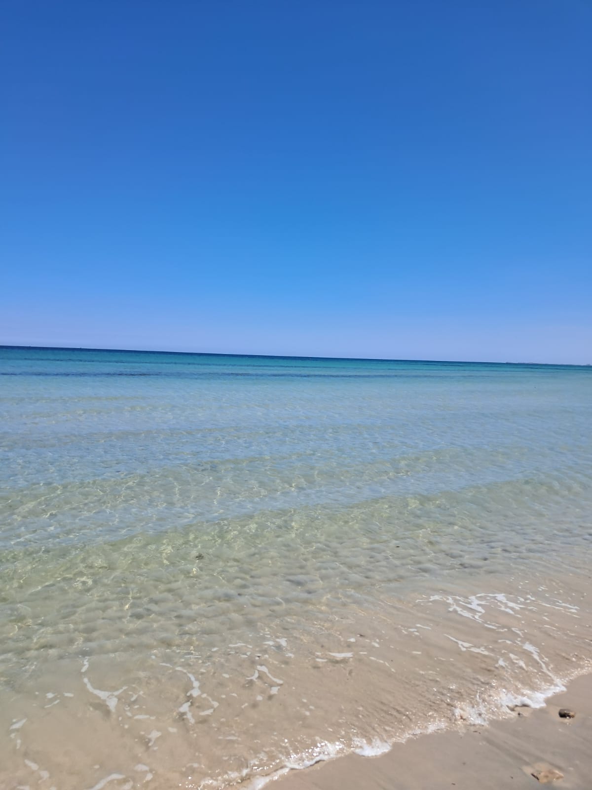 Bekalta&nbsp;Bekalta&nbsp;Location vacances&nbsp;Appart. 2 pi�ces&nbsp;Appartements de vacance