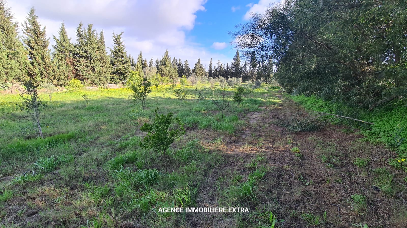 Beni Khiar&nbsp;Ghardaya&nbsp;Terrain&nbsp;Terrain agricole&nbsp;Campagne � ghardaya