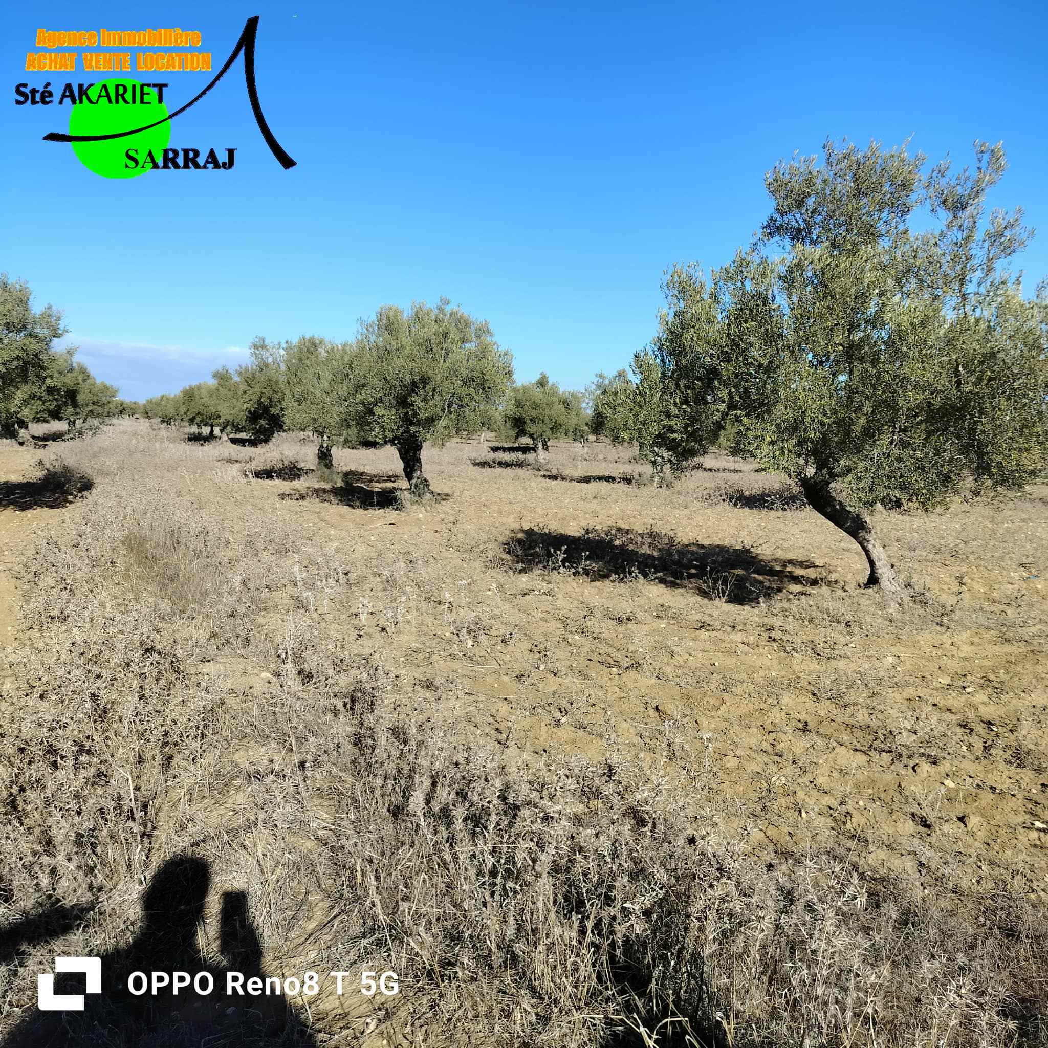 Hergla&nbsp;Hergla&nbsp;Terrain&nbsp;Terrain agricole&nbsp;Lot d'investissement 1200m derri�re karting hergla