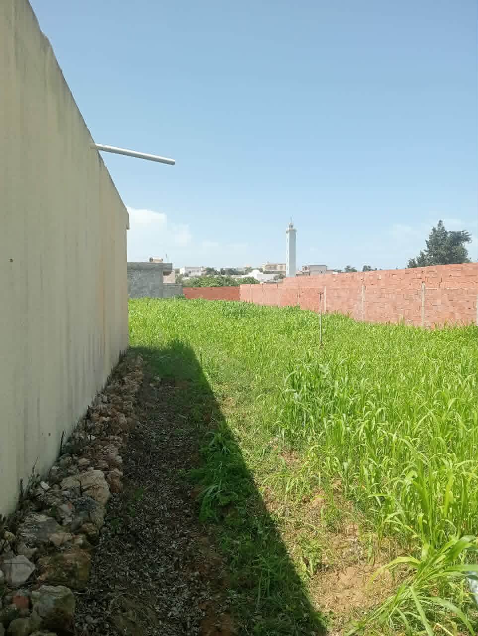 El Haouaria&nbsp;El Haouaria&nbsp;Vente&nbsp;Maisons&nbsp;Maison 1400m2 sur deux routes