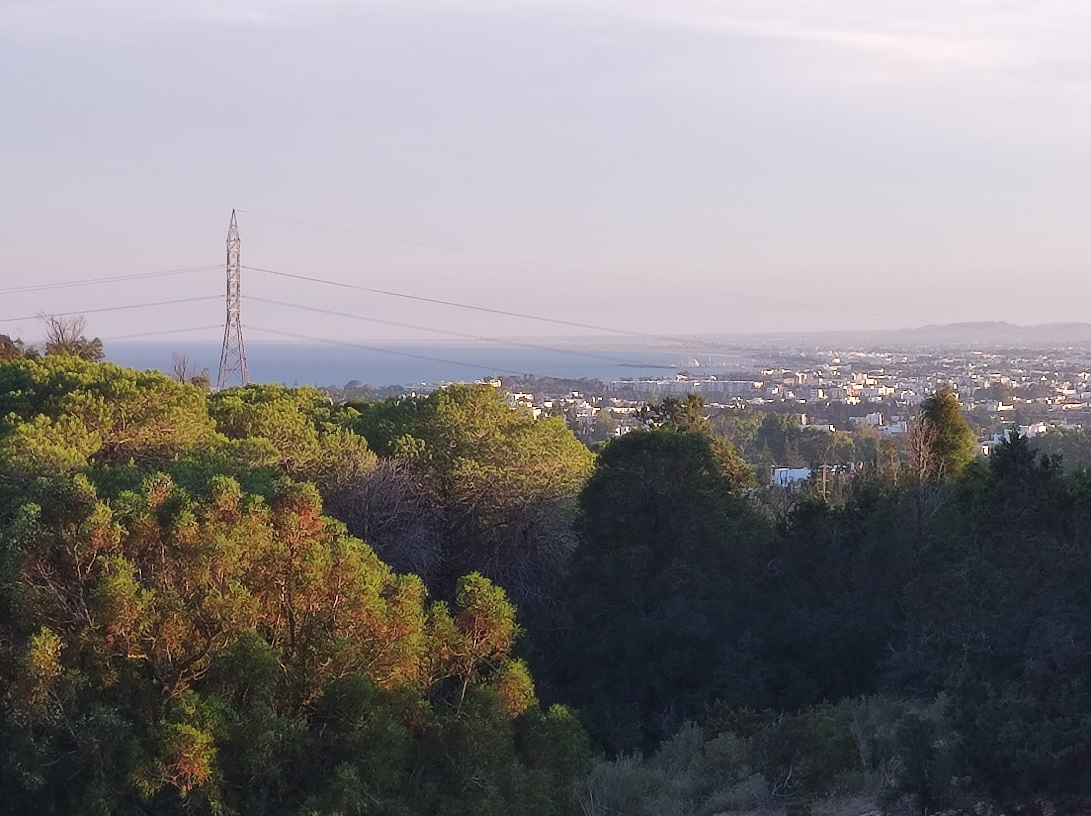Hammamet&nbsp;Hammamet&nbsp;Terrain&nbsp;Terrain nu&nbsp;Lots zone craxi hammamet