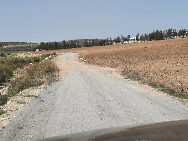 Sidi Hassine&nbsp;Birine&nbsp;Vente&nbsp;Surfaces&nbsp;Des  lots  agricole  de 1000 m2