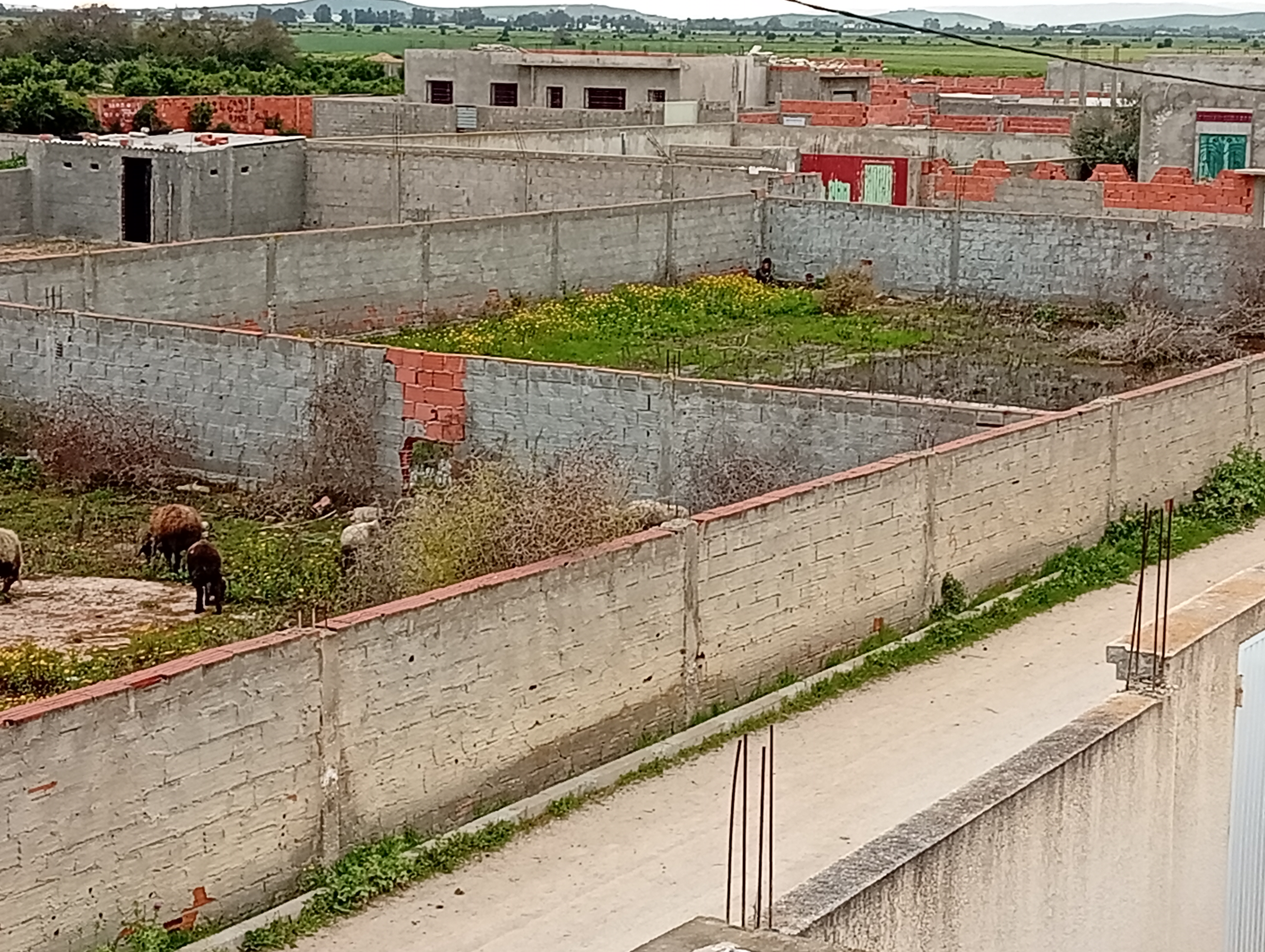 Sidi Thabet&nbsp;Borj Youssef&nbsp;Vente&nbsp;Surfaces&nbsp;Terrain de 300 m