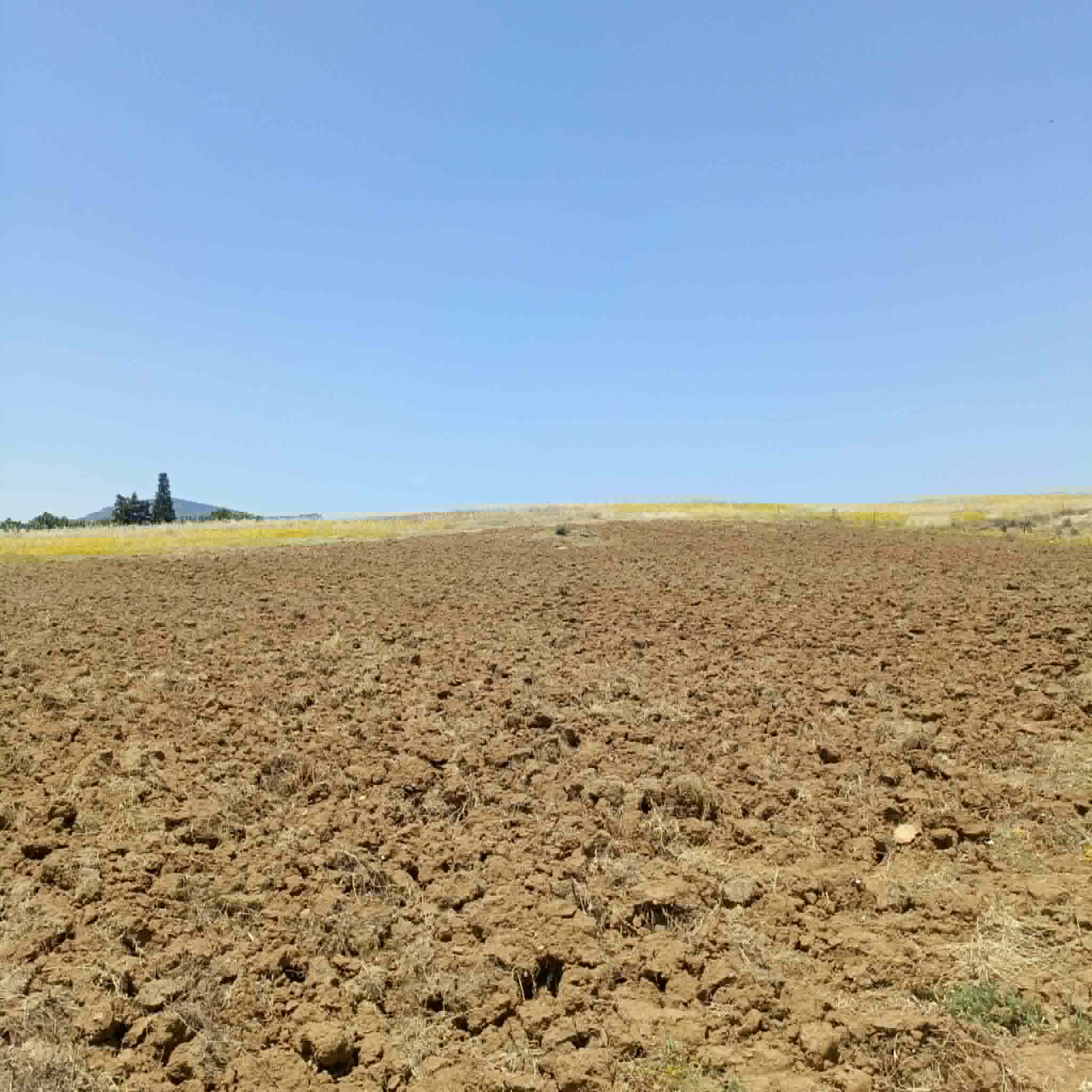 Hammamet&nbsp;Hammamet&nbsp;Vente&nbsp;Maisons&nbsp;Av 4900m � 68md � hammamet sud