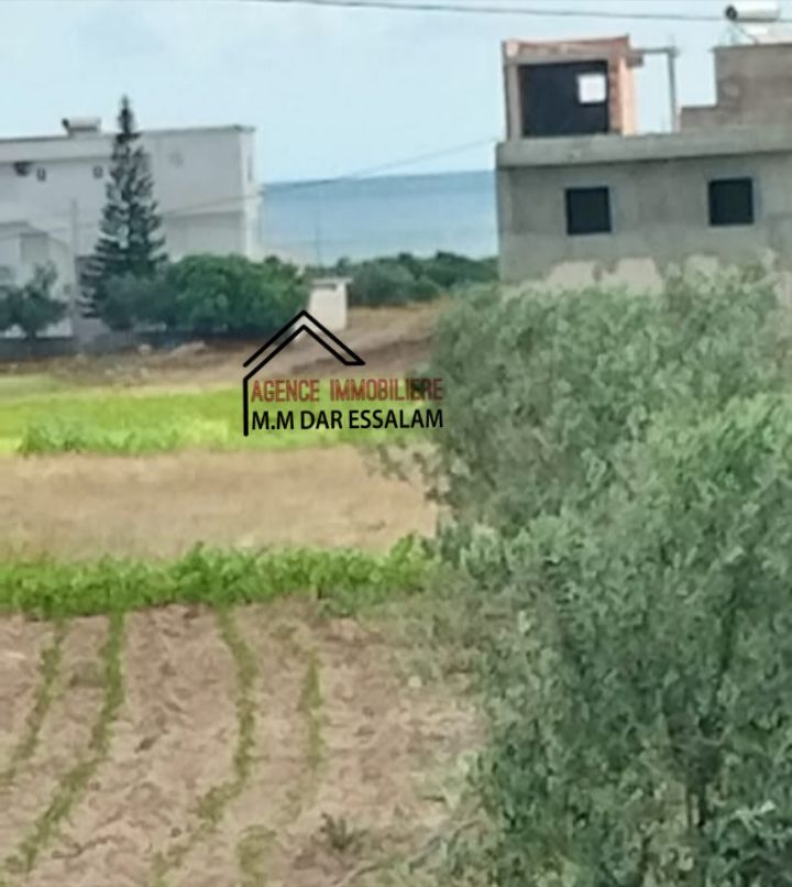 Kelibia&nbsp;Dar Allouche&nbsp;Terrain&nbsp;Terrain nu&nbsp;Un lot de terrain cl�tur� pr�s de la mer