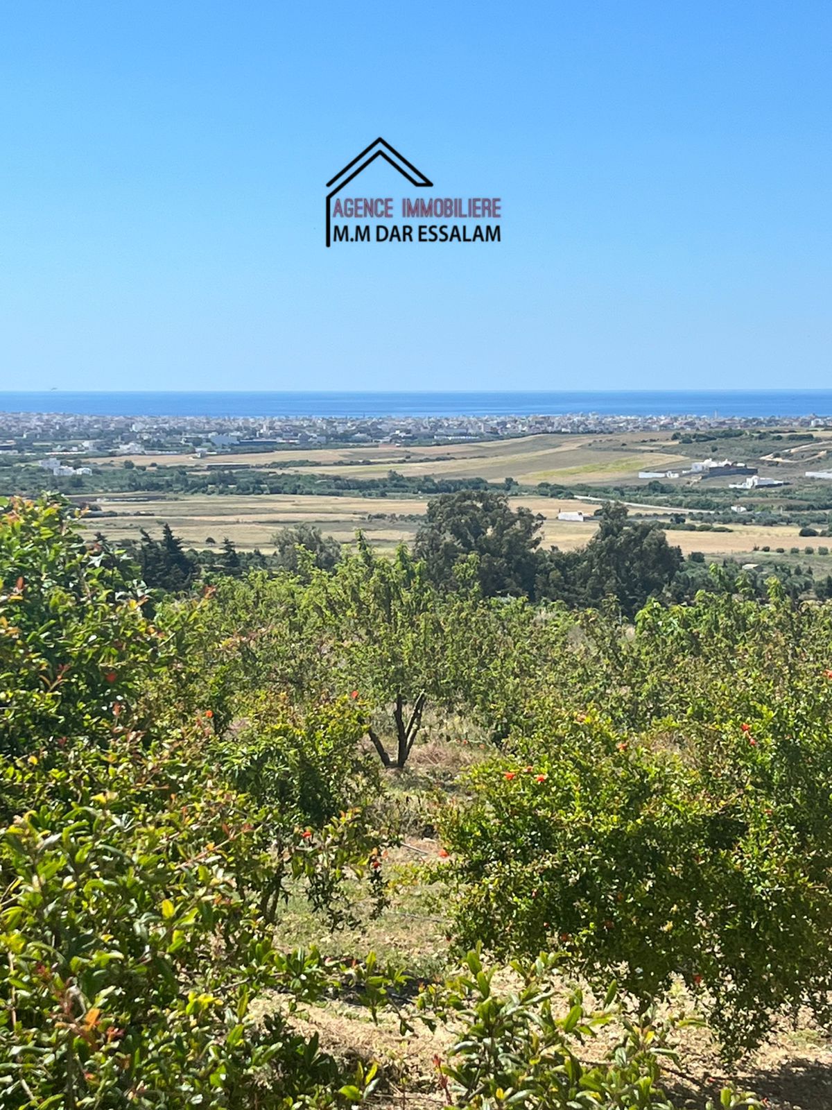 Hammam El Ghezaz&nbsp;Tamazrat&nbsp;Terrain&nbsp;Terrain nu&nbsp;Terrain avec une vue agr�able