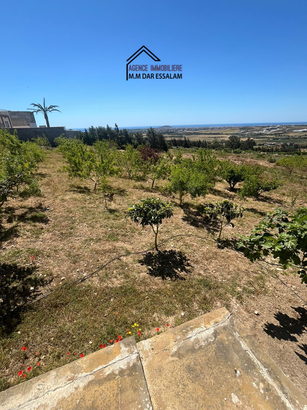 Hammam El Ghezaz&nbsp;Tamazrat&nbsp;Terrain&nbsp;Terrain nu&nbsp;Terrain avec une vue agr�able
