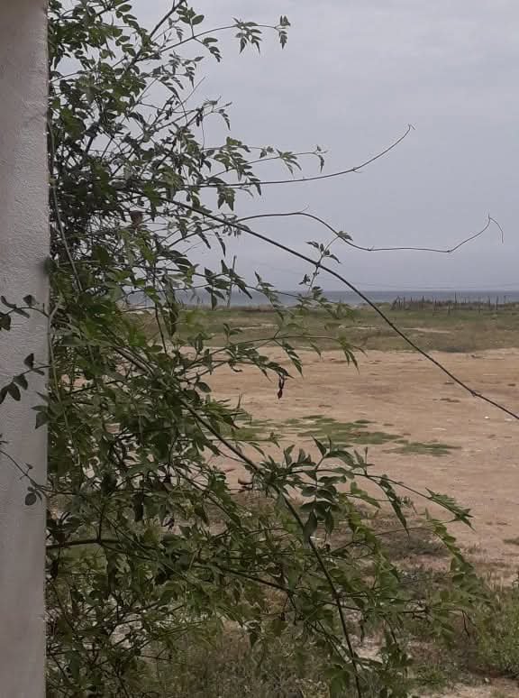Bizerte Nord&nbsp;Bizerte&nbsp;Location&nbsp;Appart. 2 pi�ces&nbsp;Studio au bord de la plage bizerte nord sidi salem
