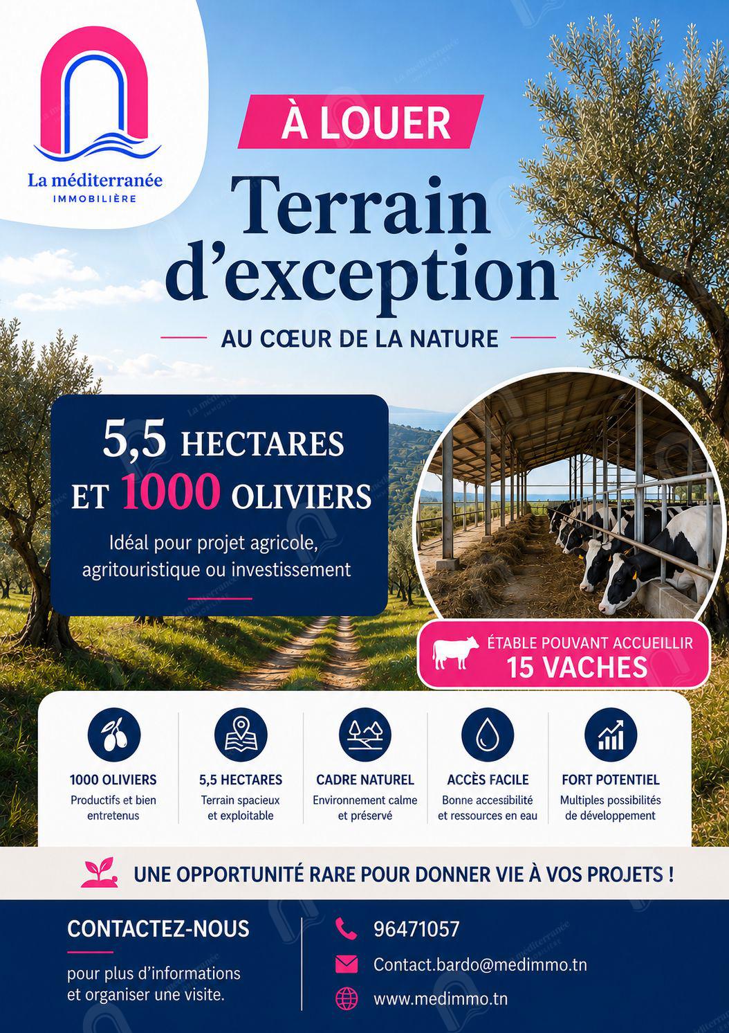Mohamadia&nbsp;Cite Cebbalet Chikh&nbsp;Location&nbsp;Autre&nbsp;Une ferme agricole � el mohamedia
