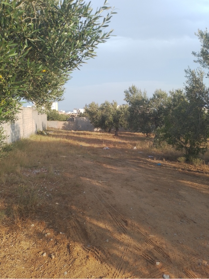Hammamet&nbsp;Hammamet&nbsp;Terrain&nbsp;Terrain agricole&nbsp;Terrain 777m ou moiti� hammamet nord