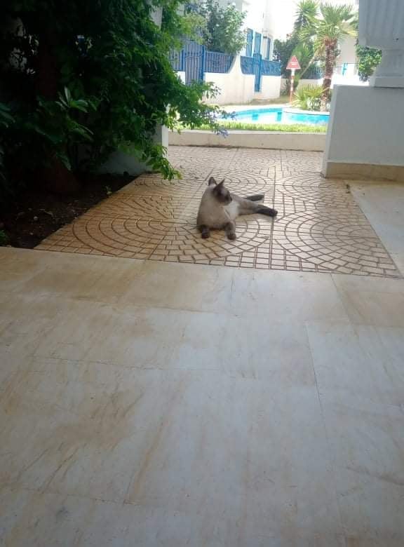 Beni Khiar&nbsp;Beni Khiar&nbsp;Location vacances&nbsp;Appart. 2 pi�ces&nbsp;Calme et s�r�nit�