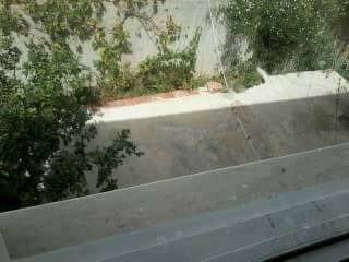 Mahdia&nbsp;Mahdia Hiboun&nbsp;Location&nbsp;Maisons&nbsp;Maison pour les vacances d'�t� hiboun