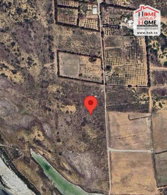Soliman&nbsp;El Marja&nbsp;Terrain&nbsp;Terrain agricole&nbsp;Terrain agricole zahaf � el marja slimen
