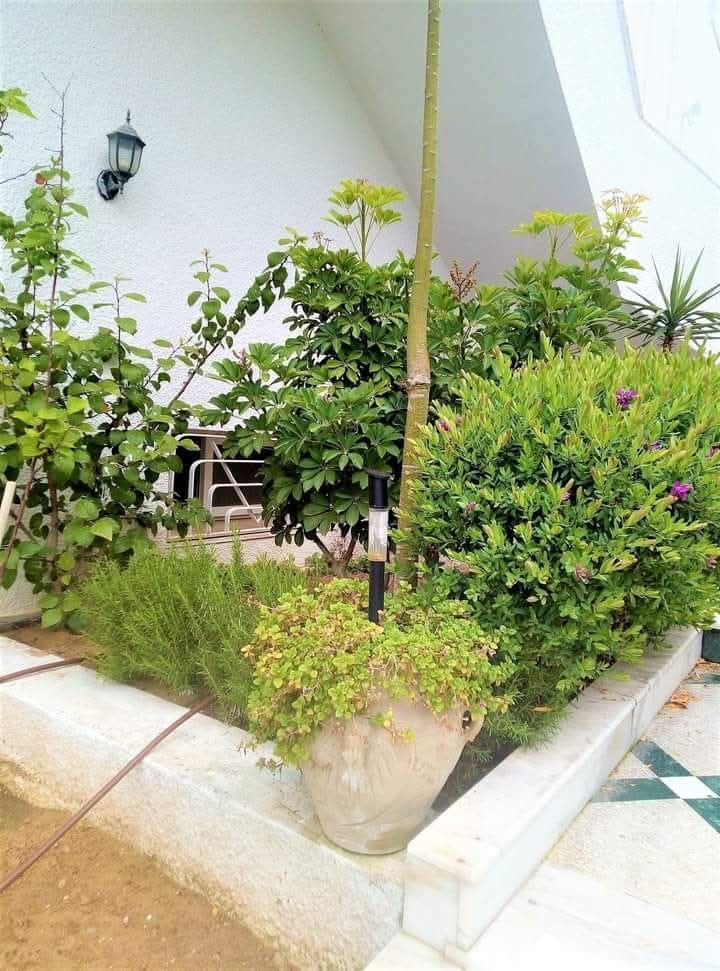 El Menzah&nbsp;El Menzah 9&nbsp;Location&nbsp;Appart. 4 pi�ces&nbsp;Etage de villa s3 menzah 9 pres l'espoir