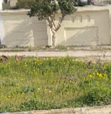 Ariana Ville&nbsp;Cite Ennasr 2&nbsp;Terrain&nbsp;Terrain nu&nbsp;Terrain cite ennasr ariana tunisie