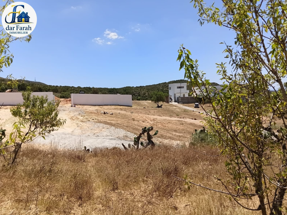 Hammamet&nbsp;Hammamet&nbsp;Terrain&nbsp;Terrain agricole&nbsp;Terrain houssi