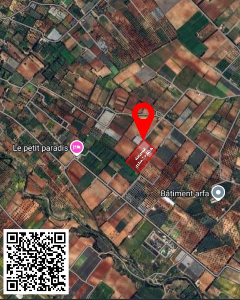 Korba&nbsp;Tazarka&nbsp;Terrain&nbsp;Terrain agricole&nbsp;Terrain agricole � tazarka