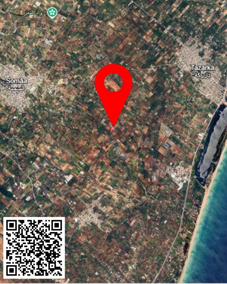 Korba&nbsp;Tazarka&nbsp;Terrain&nbsp;Terrain agricole&nbsp;Terrain agricole � tazarka
