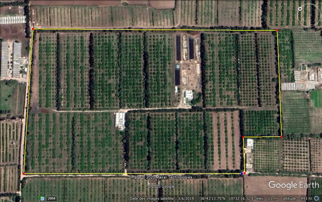 Soliman&nbsp;Soliman&nbsp;Terrain&nbsp;Terrain agricole&nbsp;Ferme agricole 11 hectars � soliman  nabeul