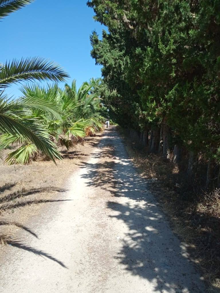 Soliman&nbsp;Soliman&nbsp;Terrain&nbsp;Terrain agricole&nbsp;Ferme agricole 11 hectars � soliman  nabeul