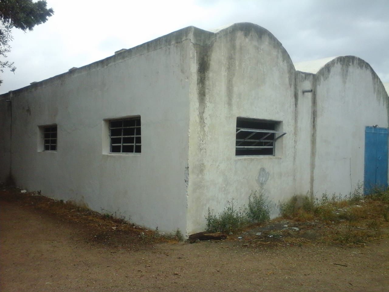 Soliman&nbsp;Soliman&nbsp;Terrain&nbsp;Terrain agricole&nbsp;Ferme agricole 11 hectars � soliman  nabeul