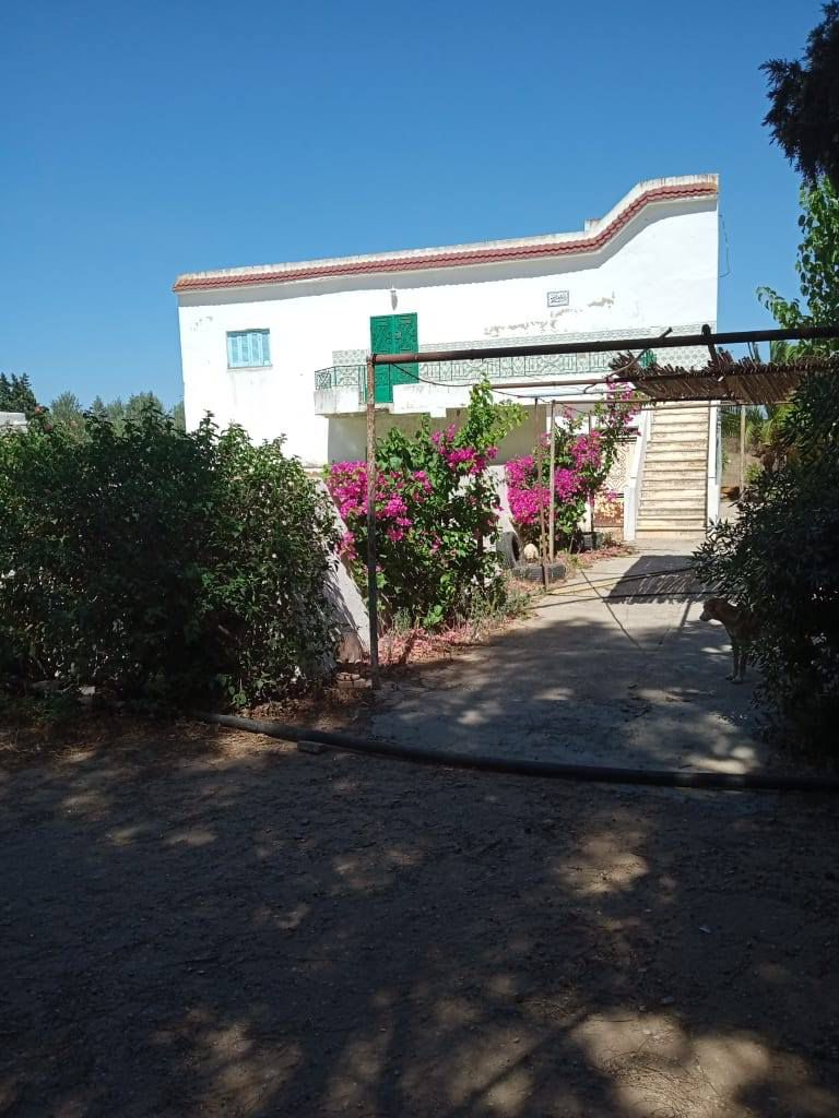 Soliman&nbsp;Soliman&nbsp;Terrain&nbsp;Terrain agricole&nbsp;Ferme agricole 11 hectars � soliman  nabeul