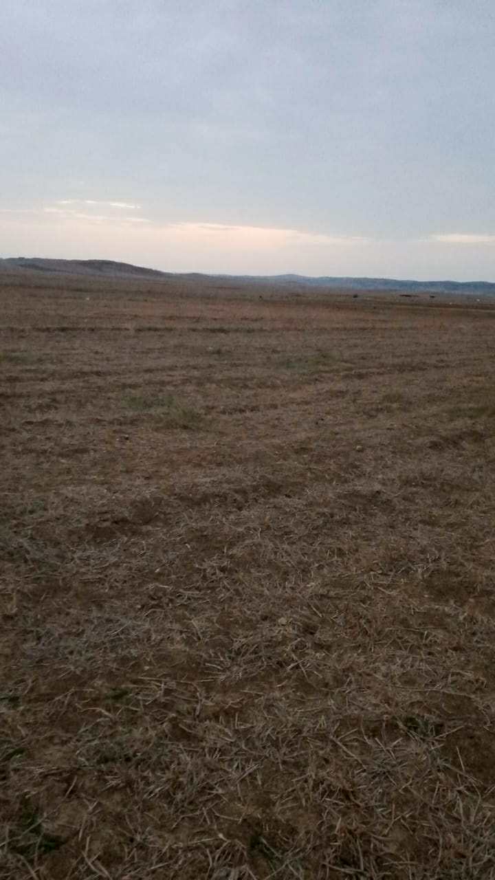Kelibia&nbsp;Oued El Khatef&nbsp;Terrain&nbsp;Terrain nu&nbsp;Offre terrain wed el khatef