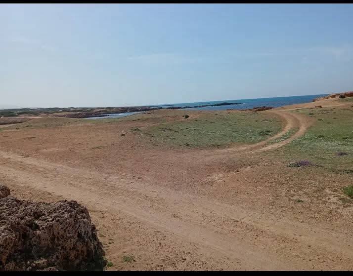 El Haouaria&nbsp;El Haouaria&nbsp;Terrain&nbsp;Terrain agricole&nbsp;Offre hawaria