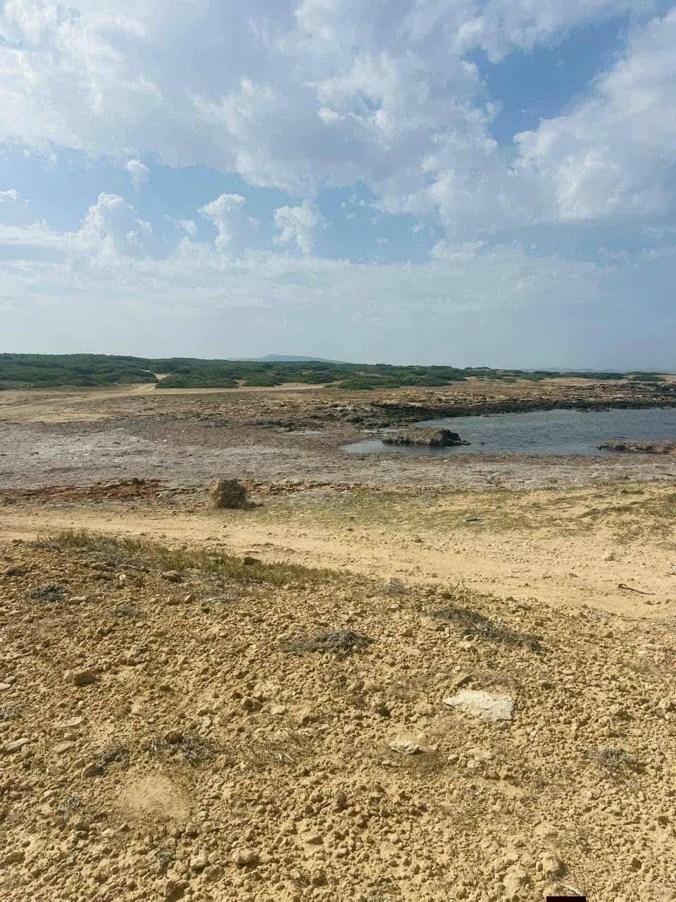 El Haouaria&nbsp;Sidi Daoud&nbsp;Terrain&nbsp;Terrain agricole&nbsp;Offre haouaria