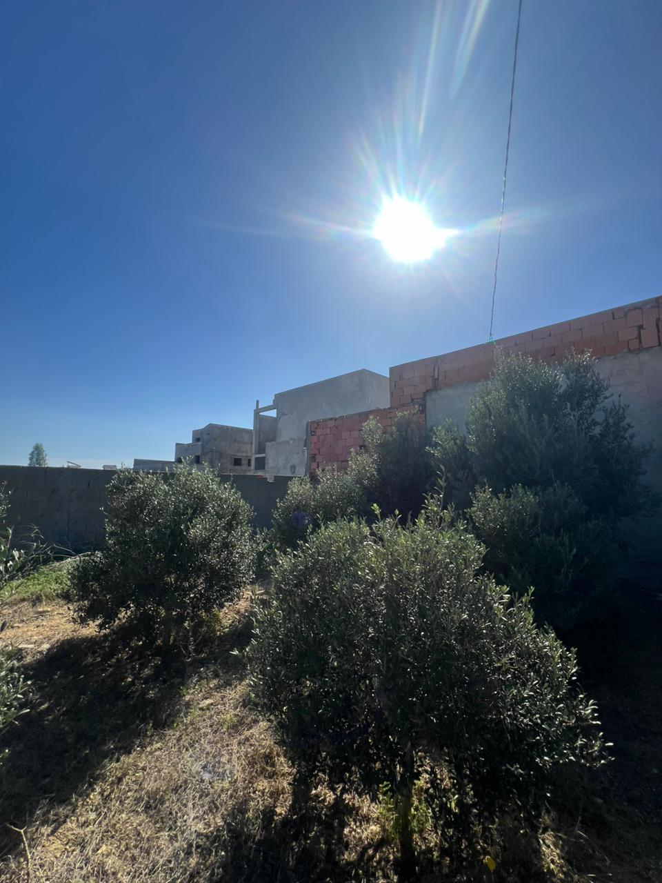 Kelibia&nbsp;Kelibia&nbsp;Terrain&nbsp;Terrain agricole&nbsp;Terrain hamem ghzez