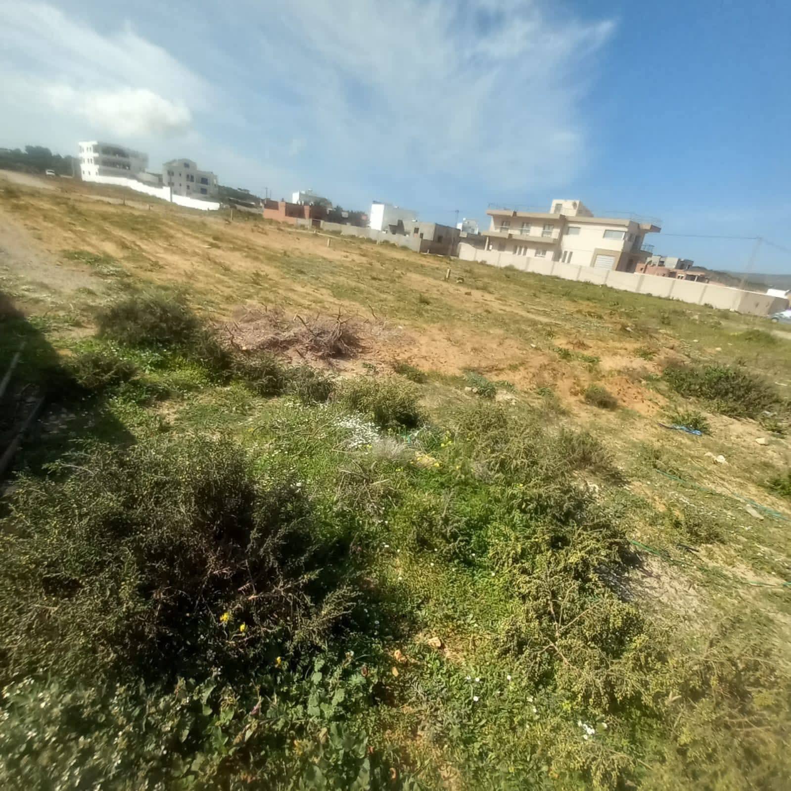 El Haouaria&nbsp;El Haouaria&nbsp;Terrain&nbsp;Terrain agricole&nbsp;Haouaria chat 9ebli