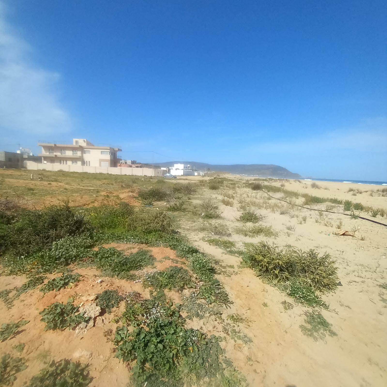 El Haouaria&nbsp;El Haouaria&nbsp;Terrain&nbsp;Terrain agricole&nbsp;Haouaria chat 9ebli