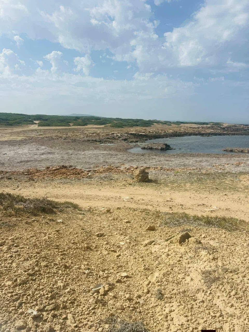 El Haouaria&nbsp;Sidi Daoud&nbsp;Terrain&nbsp;Terrain agricole&nbsp;Offre sp�cial