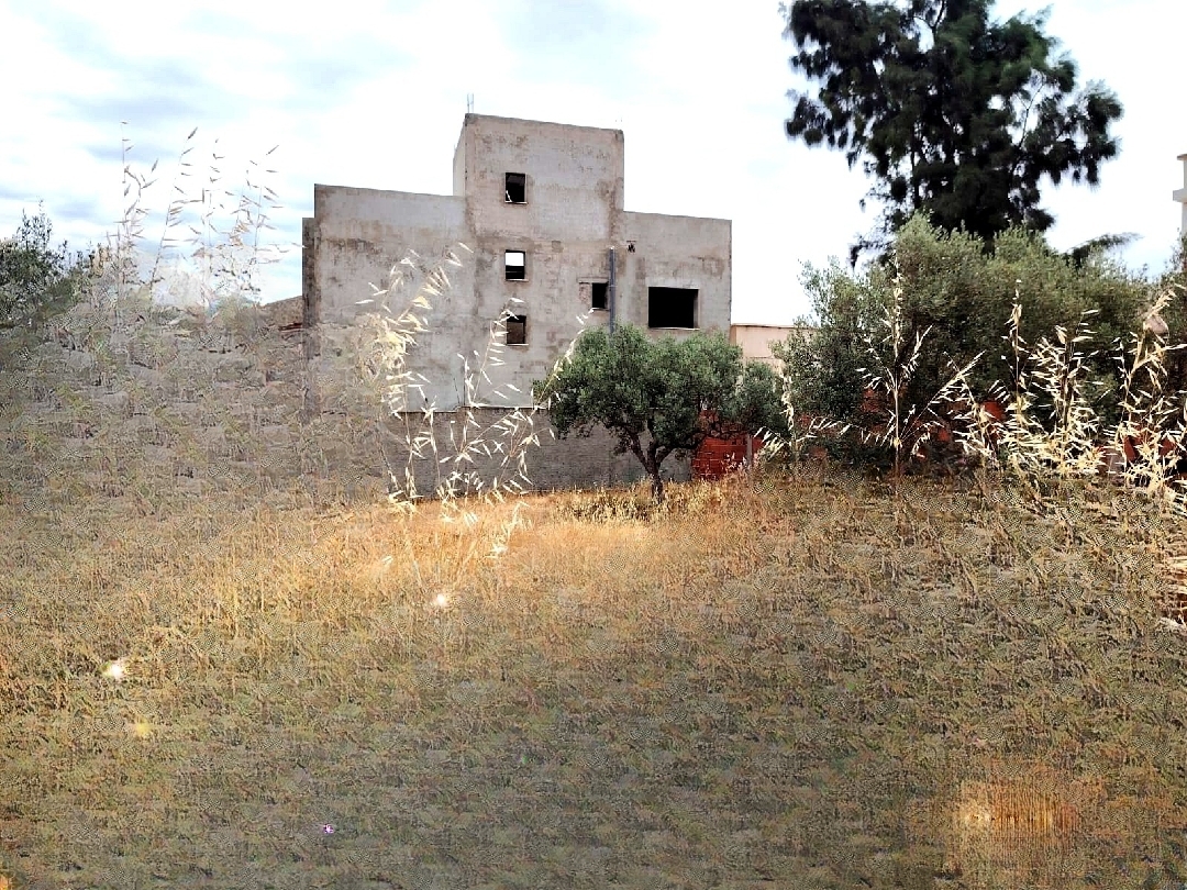 Soliman&nbsp;Dhahri&nbsp;Vente&nbsp;Surfaces&nbsp;Terrain dhari