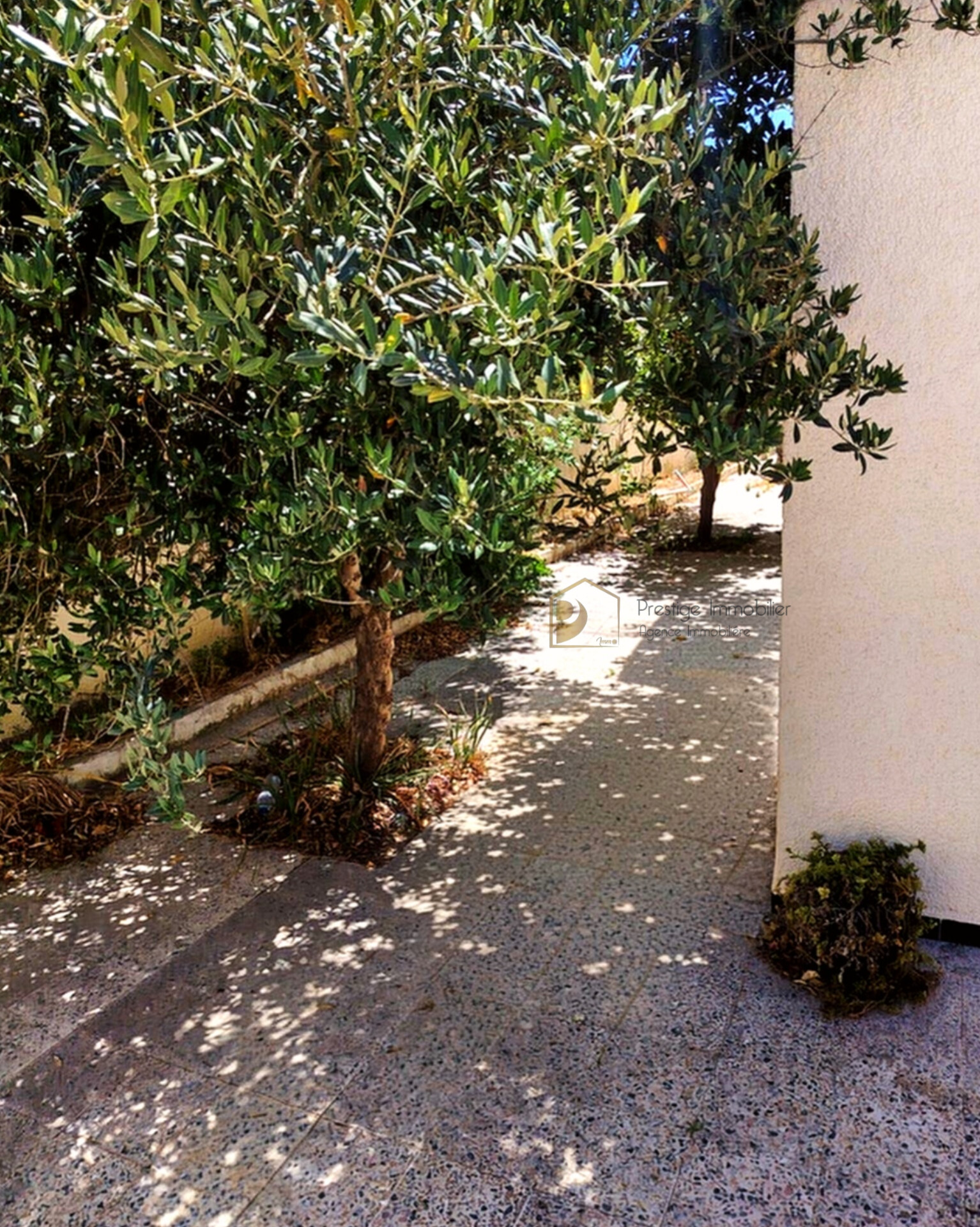 Soliman&nbsp;Soliman&nbsp;Vente&nbsp;Maisons&nbsp;Villa avec studio