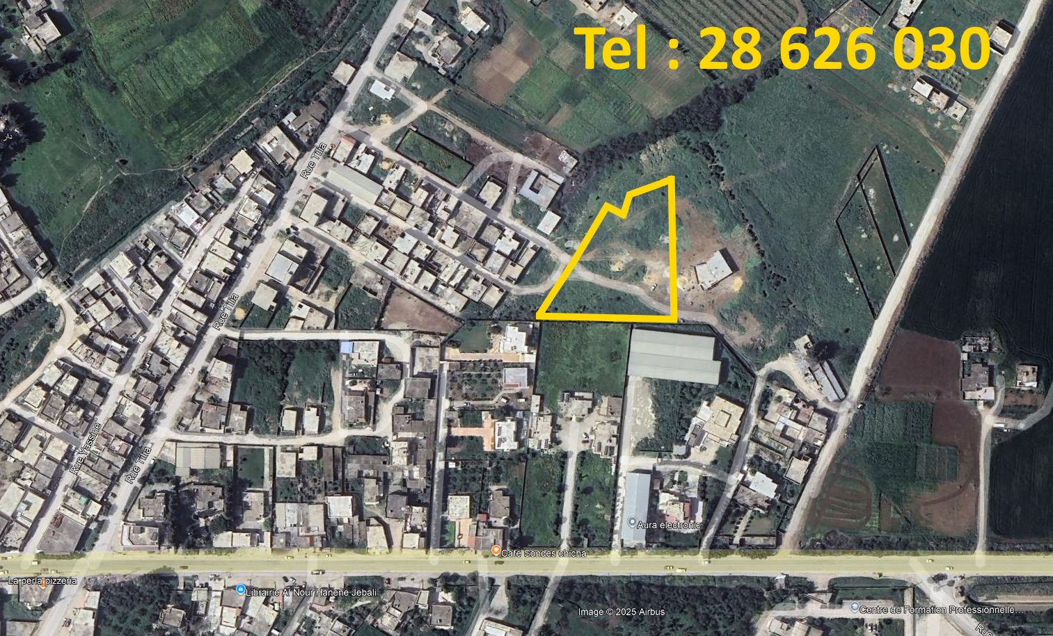 Oued Ellil&nbsp;Oued Ellil&nbsp;Terrain&nbsp;Terrain nu&nbsp;Terrain 1000 m clotur� bejaoua 1 oued ellil