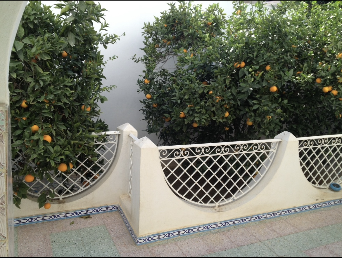 Hammamet&nbsp;Chaabet El Mrezga&nbsp;Vente&nbsp;Maisons&nbsp;Villa avec studios