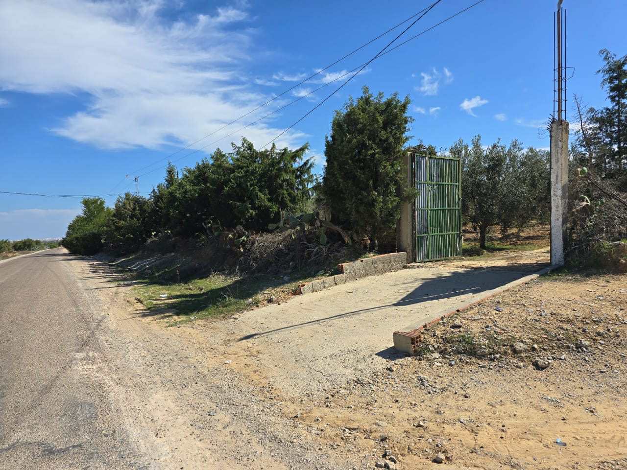 Kalaa Essghira&nbsp;Oued Laya&nbsp;Terrain&nbsp;Terrain agricole&nbsp;Sania complet
