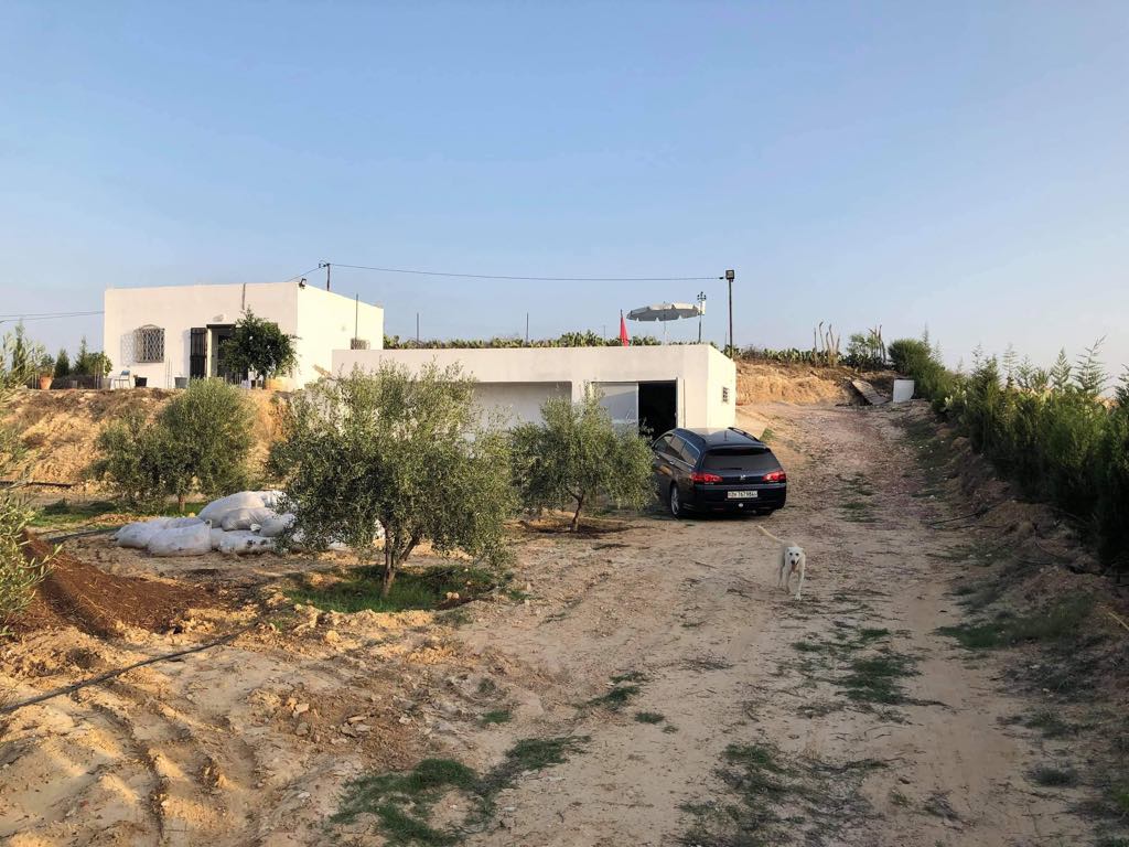 Kalaa Essghira&nbsp;Oued Laya&nbsp;Terrain&nbsp;Terrain agricole&nbsp;Sania complet